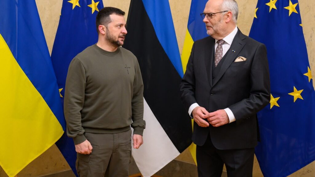 Володимир Зеленський і Алар Каріс під час зустрічі в Києві