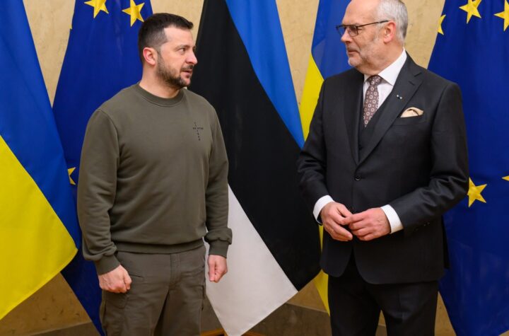 Володимир Зеленський і Алар Каріс під час зустрічі в Києві