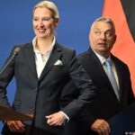 Європейські політики коментують безпрецедентний успіх німецьких ультраправих у Саксонії-Ангальт