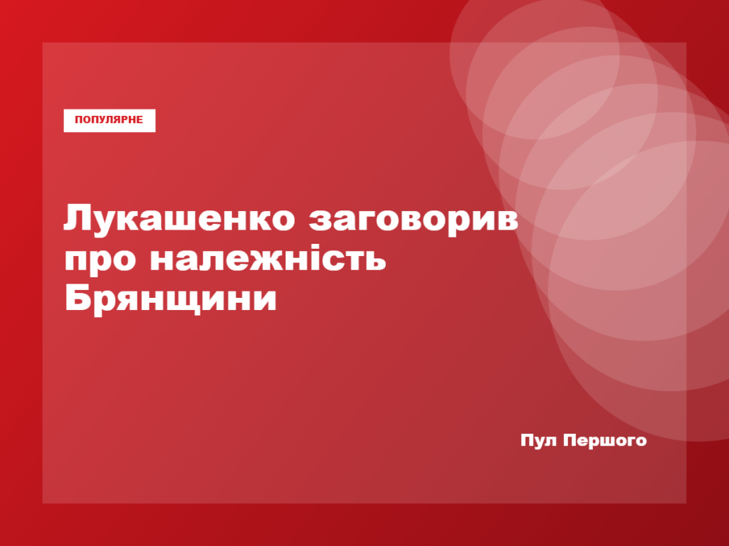 Олександр Лукашенко під час зустрічі з губернатором Брянської області
