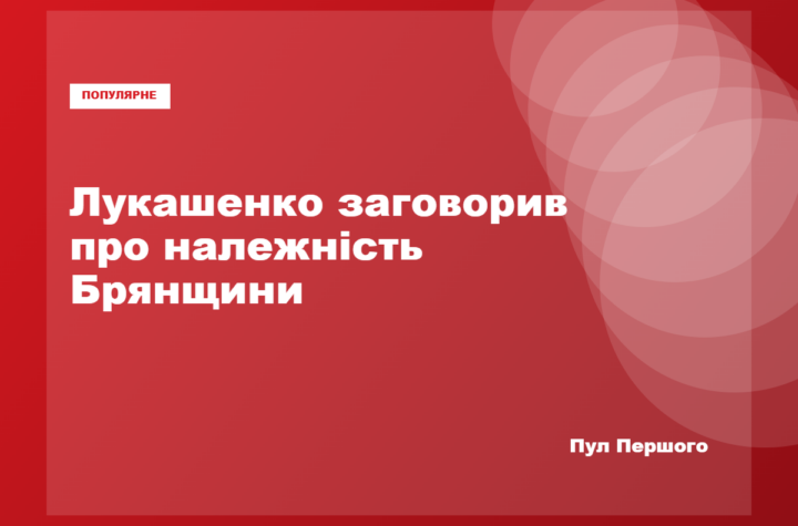 Олександр Лукашенко під час зустрічі з губернатором Брянської області