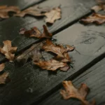 У Києві 9 жовтня прогнозують дощі та пориви вітру до 18 м/с