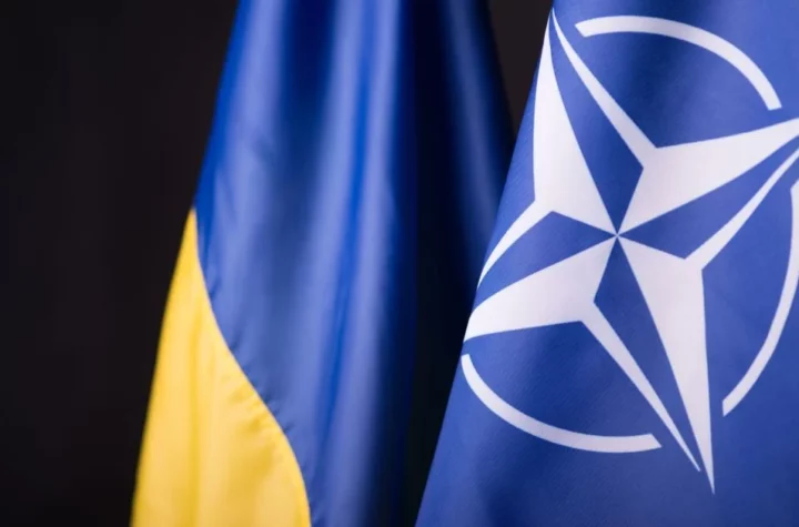 Україна отримає доступ до закупівельного агентства НАТО: чим новий механізм відрізняється від PURL