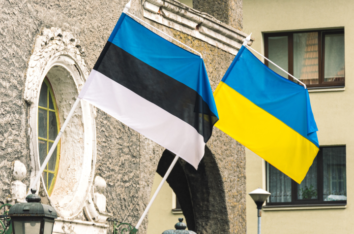 Зеленський обговорив з новою президенткою Естонії допомогу українській енергетиці та залізниці